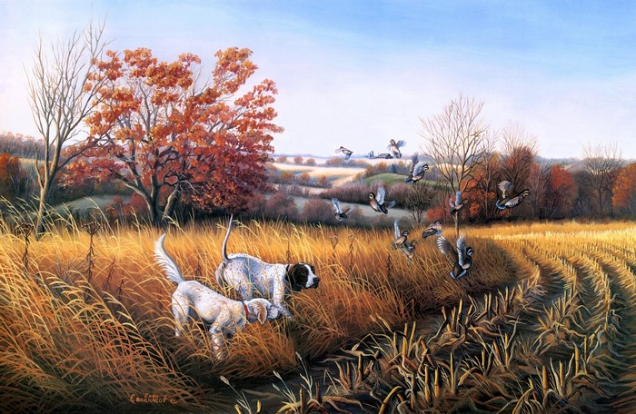 Bird Dog Country by John S. Eberhardt