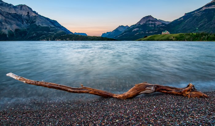 Driftwood on shore of Waterton Lake with mountains