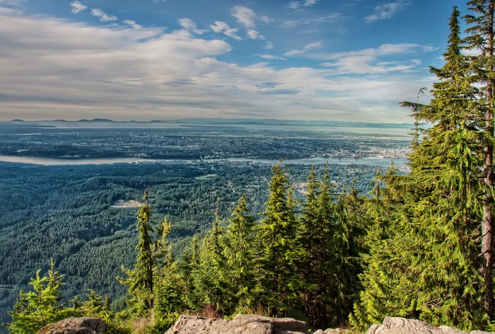 View of Vancouver from North Vancouver Forest