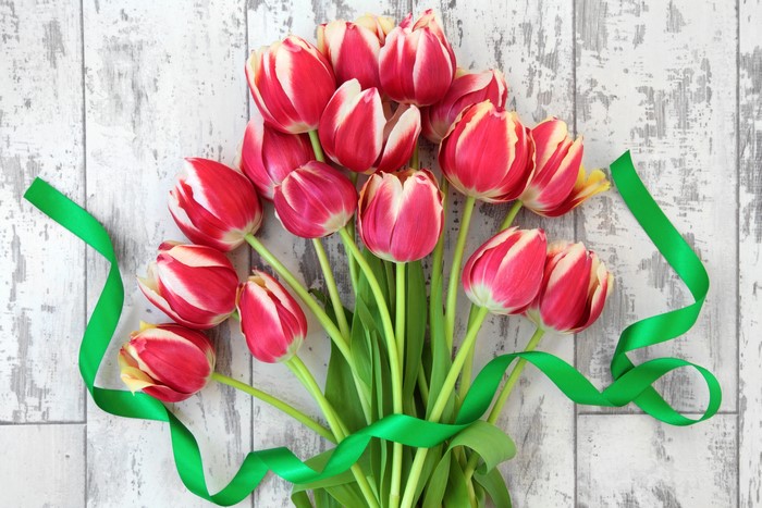 Red and white tulips with green ribbon