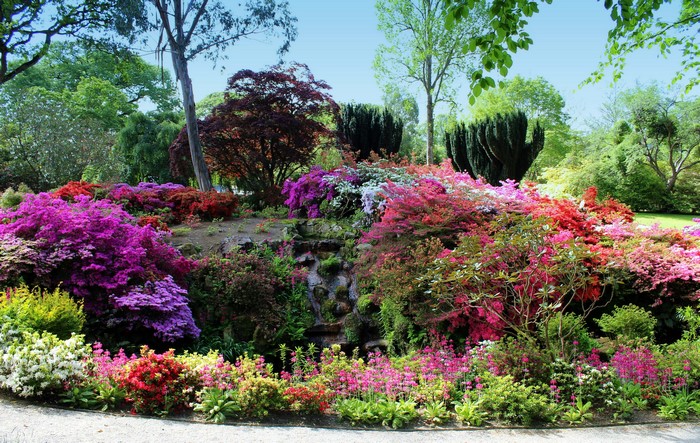 Bodnant Gardens Rhododendrons in Wales, United Kingdom