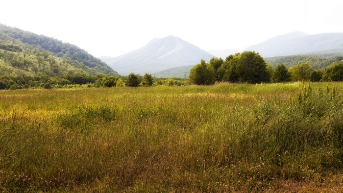 4K Russia Fields Mountains Grass