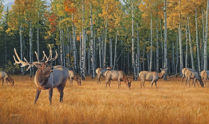 Bull Elk in Aspen Forest Painting by Daniel Smith