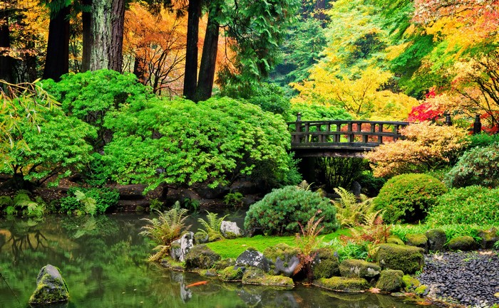 Japanese Garden with Pond and Bridge in Autumn