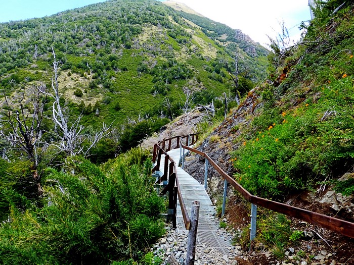 Wooden walkway on a mountain trail in Patagonia, Argentina