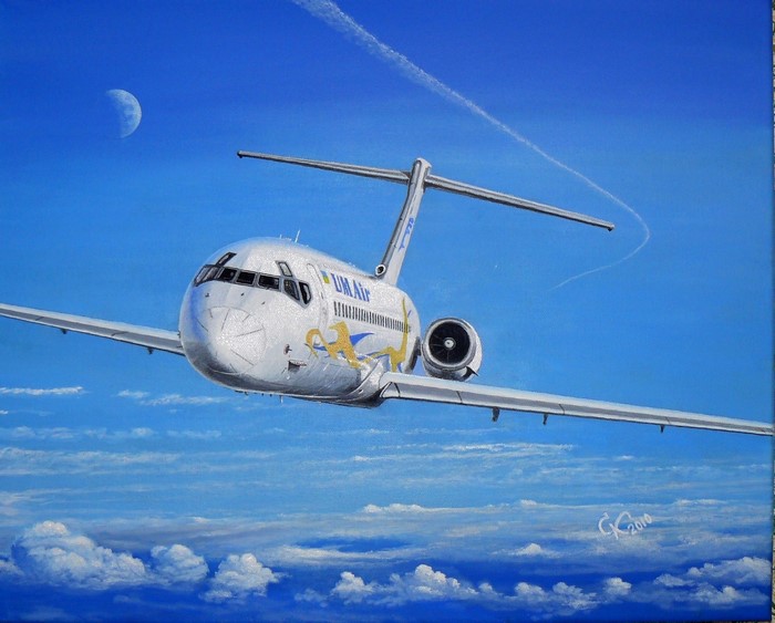 DC-9 airplane painting in the sky