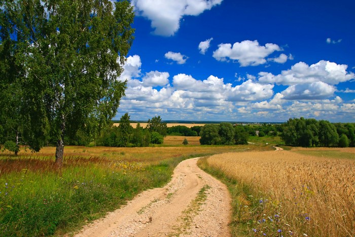 Dirt road through fields and trees under a blue sky with clouds