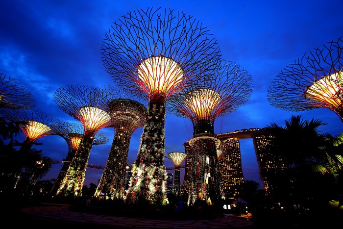 Gardens by the Bay Singapore at Night