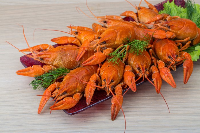 Cooked Crayfish on a Plate with Dill and Lettuce