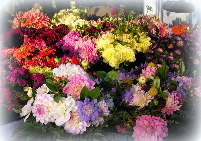 Colorful Bouquet of Dahlias and Chrysanthemums