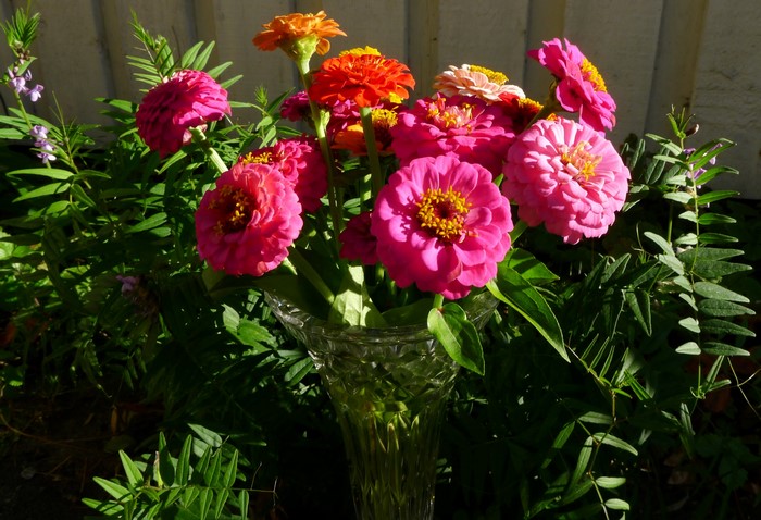Bouquet of Zinnias in a Crystal Vase