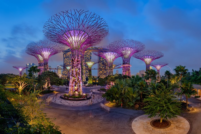 Gardens by the Bay, Singapore at Night