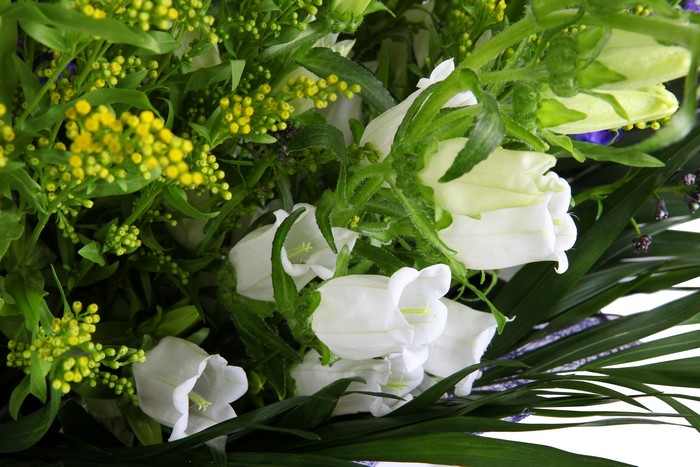 White Eustoma flowers and greenery