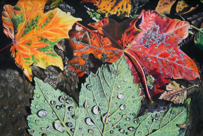 Close-up of autumn leaves with water drops
