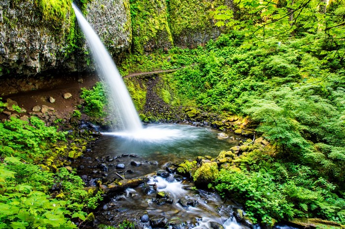 Ponytail Falls in Oregon, USA