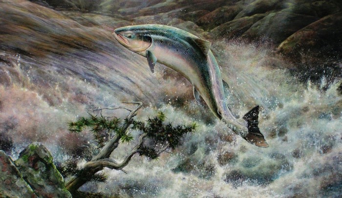 Salmon Jumping Upstream in a River Painting