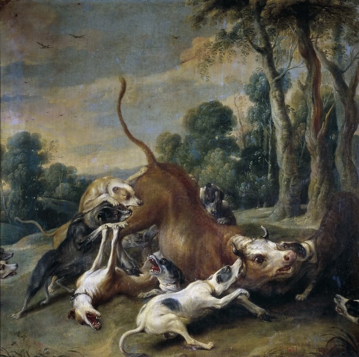 Frans Snyders' Hunted Bull Painting