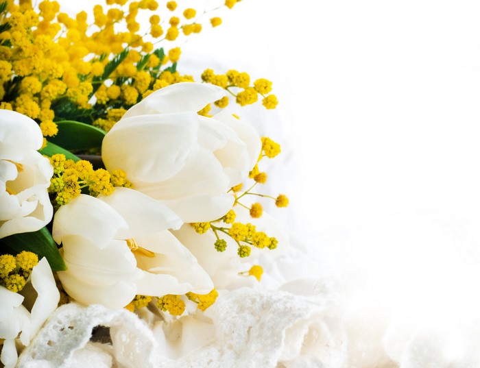 White Tulips and Silver Wattle Flowers