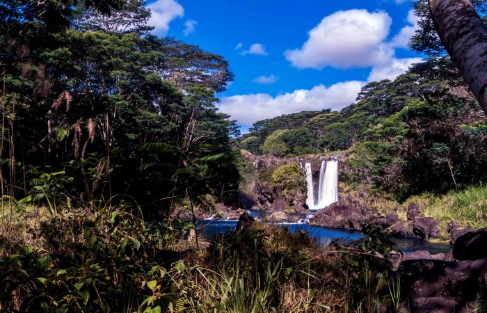 Waterfall in a lush Hawaiian forest