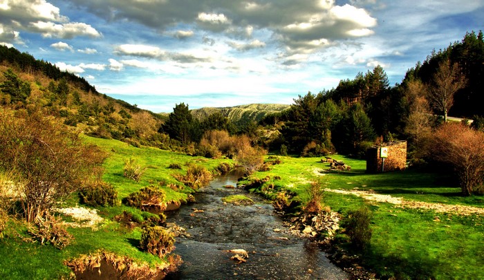 Mountain stream flowing through a grassy landscape in Spain