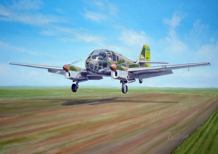 Aero-145 airplane landing on a field
