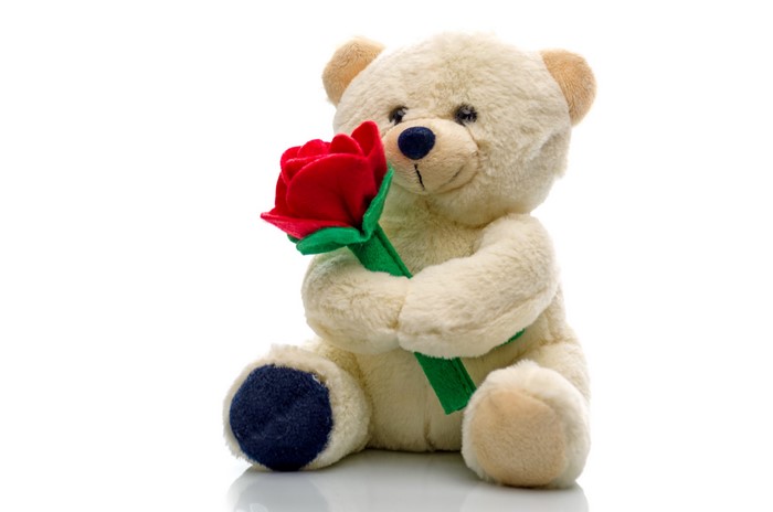 Teddy bear holding a red rose
