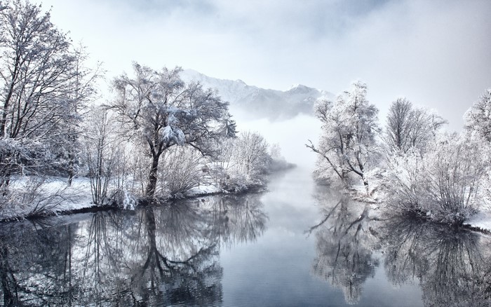 Snow-covered trees along a misty river in Bavaria, Germany