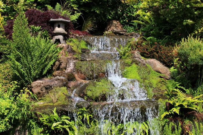 Japanese garden with a multi-tiered waterfall and stone lantern