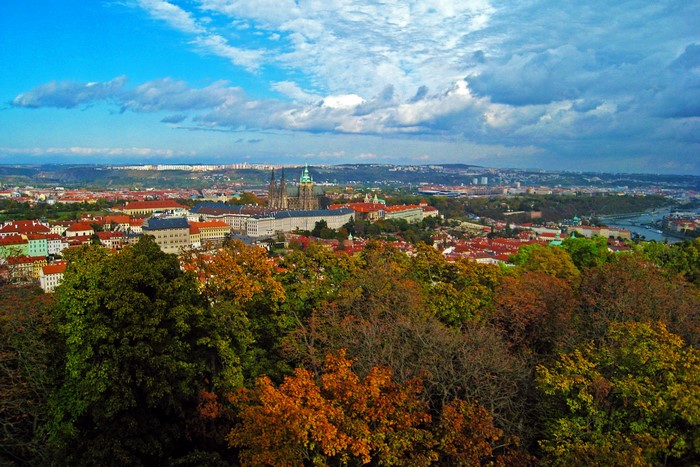 Prague Castle and cityscape with autumn trees