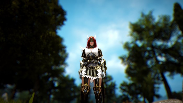4K Black Desert Armor