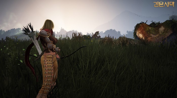Archer from Black Desert in a grassy field