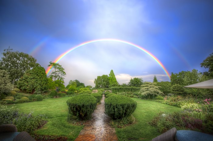 Double rainbow over a manicured garden with shrubs and trees