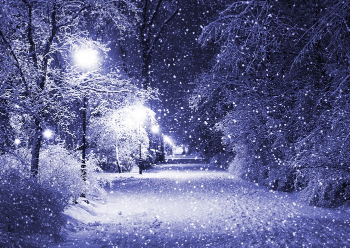 Snowy Avenue with Street Lights at Night