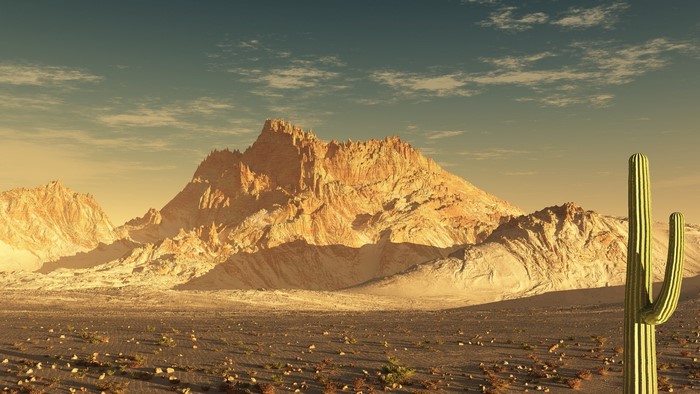 Desert landscape with mountains and saguaro cactus