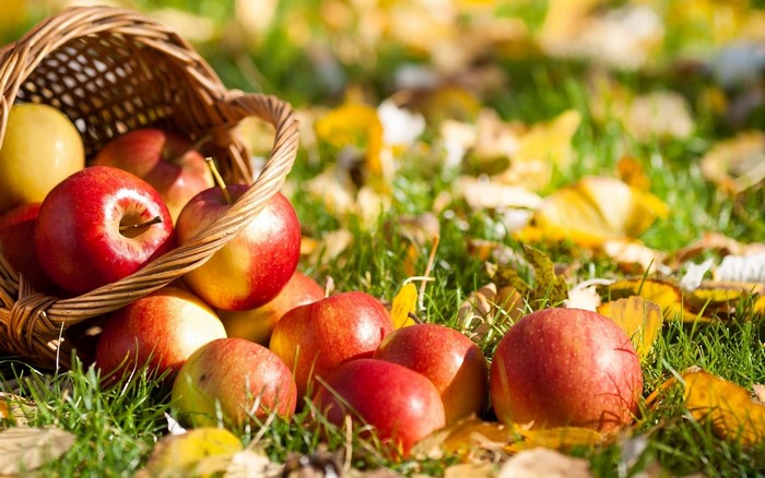 Apples spilling from a wicker basket onto grass with autumn leaves