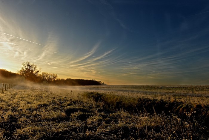 Sunrise over a misty field with trees