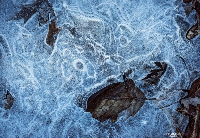 Ice patterns with frozen leaves