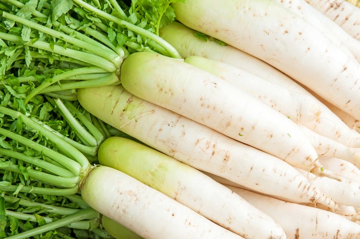 White Radishes with Green Stems