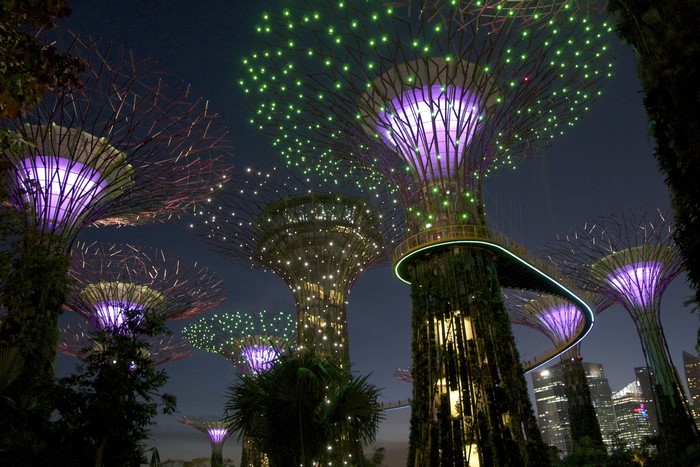 Gardens by the Bay Supertrees at night in Singapore