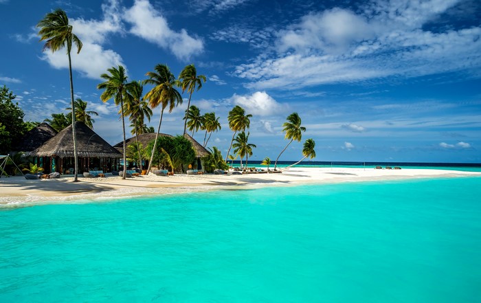 Maldives Tropics Coast with Bungalows and Palms
