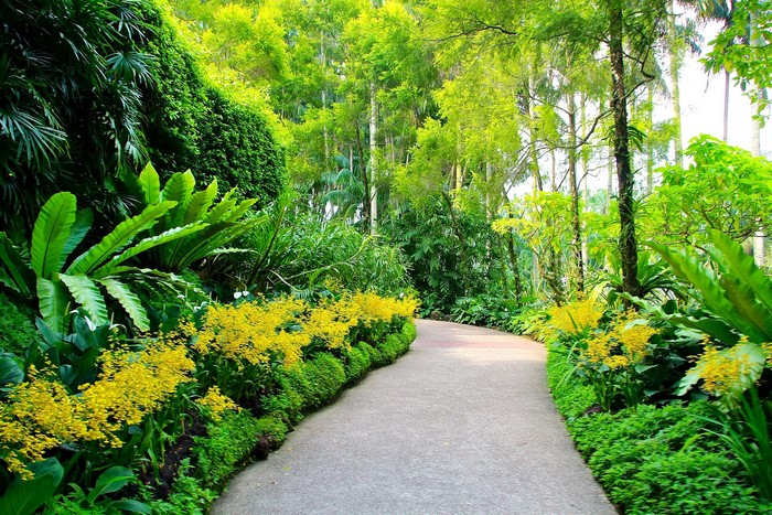 Path through a lush garden with yellow flowers and trees