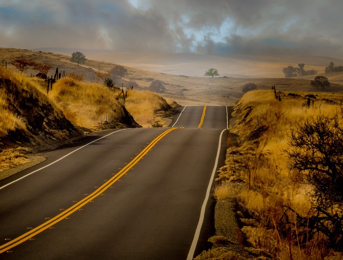Road through golden fields under cloudy sky