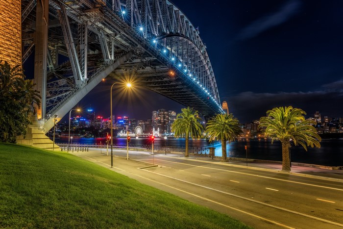 Sydney Harbour Bridge at Night with Palm Trees
