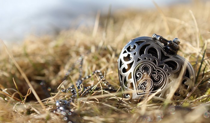 Heart-shaped locket with chain on dry grass