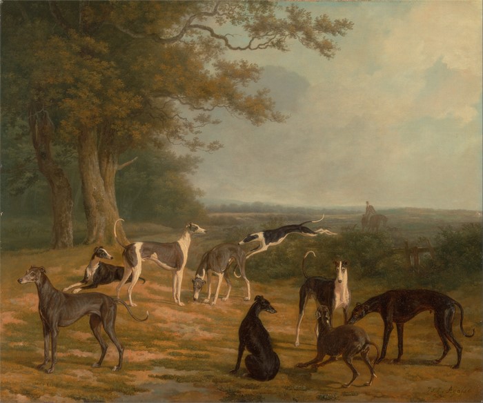 Greyhounds in a Landscape by Jacques Laurent Agasse