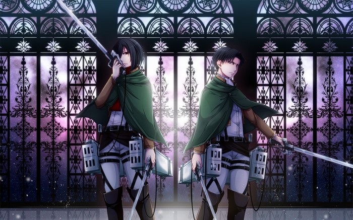 Mikasa Ackerman and Levi Ackerman from Attack on Titan