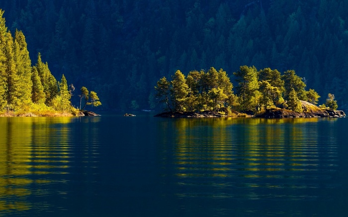 Island with trees in a lake with forest background
