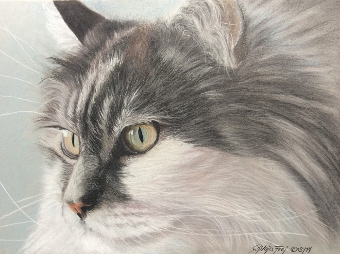 Close-up painting of a cat's face