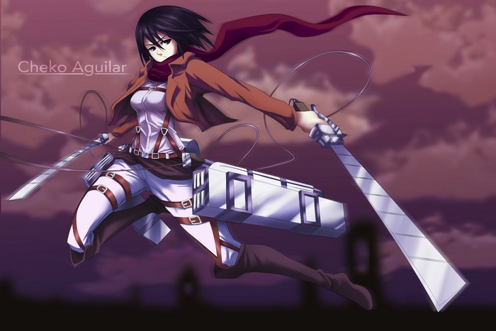 Mikasa Ackerman from Attack on Titan
