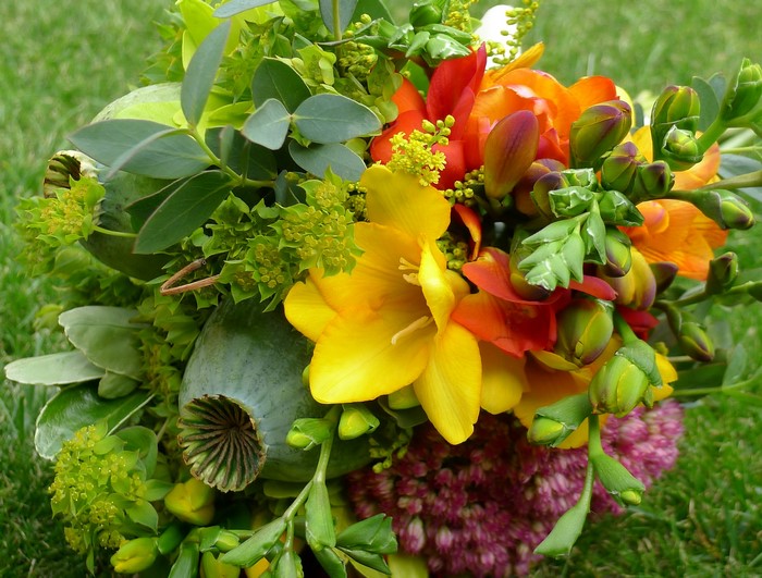 Freesia flowers and buds in a bouquet